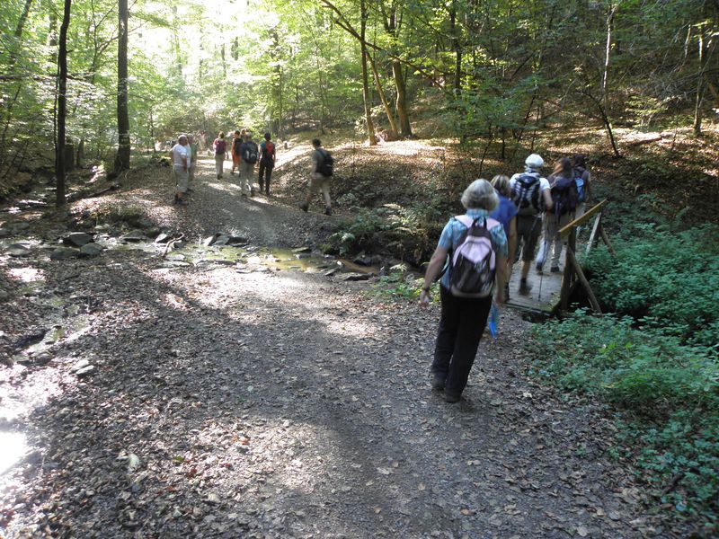 Rueckersbaher Schlucht-12.jpg